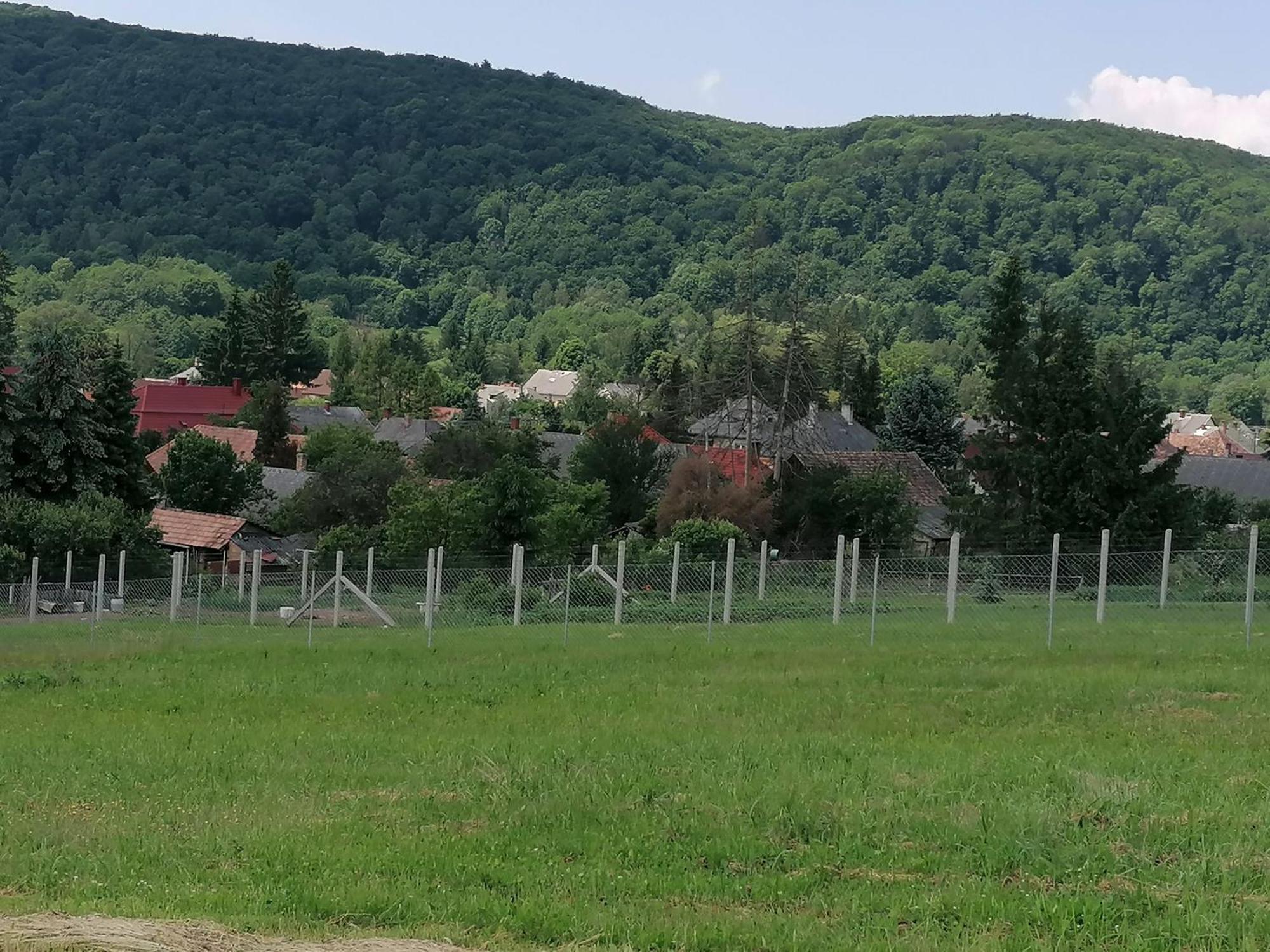 Borostyankut Wellness Home Bakonybél מראה חיצוני תמונה