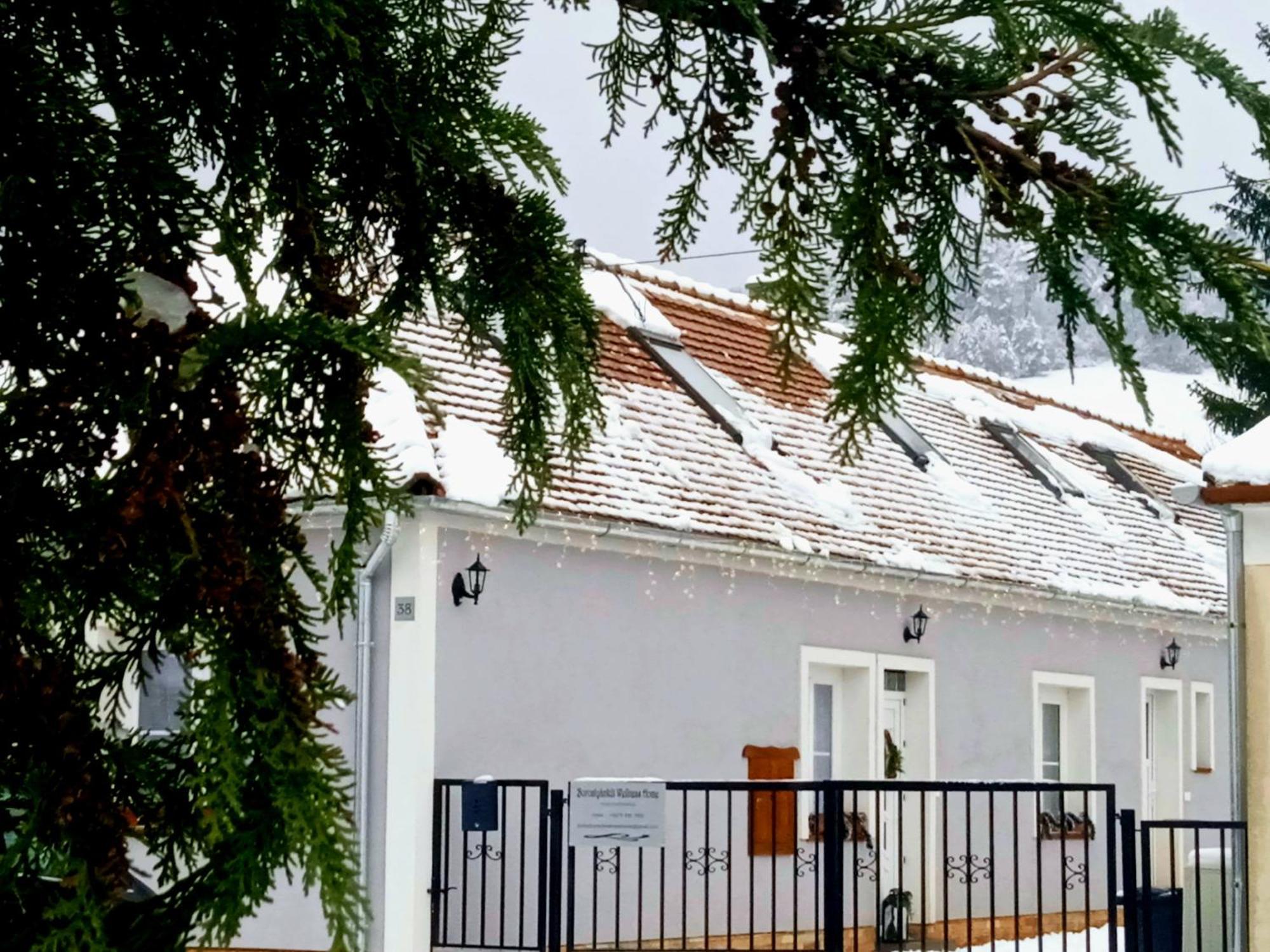 Borostyankut Wellness Home Bakonybél מראה חיצוני תמונה